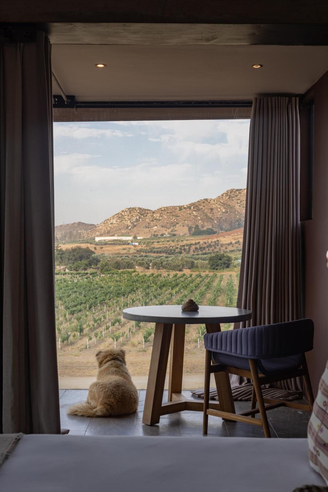 Bruma Wine Resort Valle de Guadalupe Εξωτερικό φωτογραφία