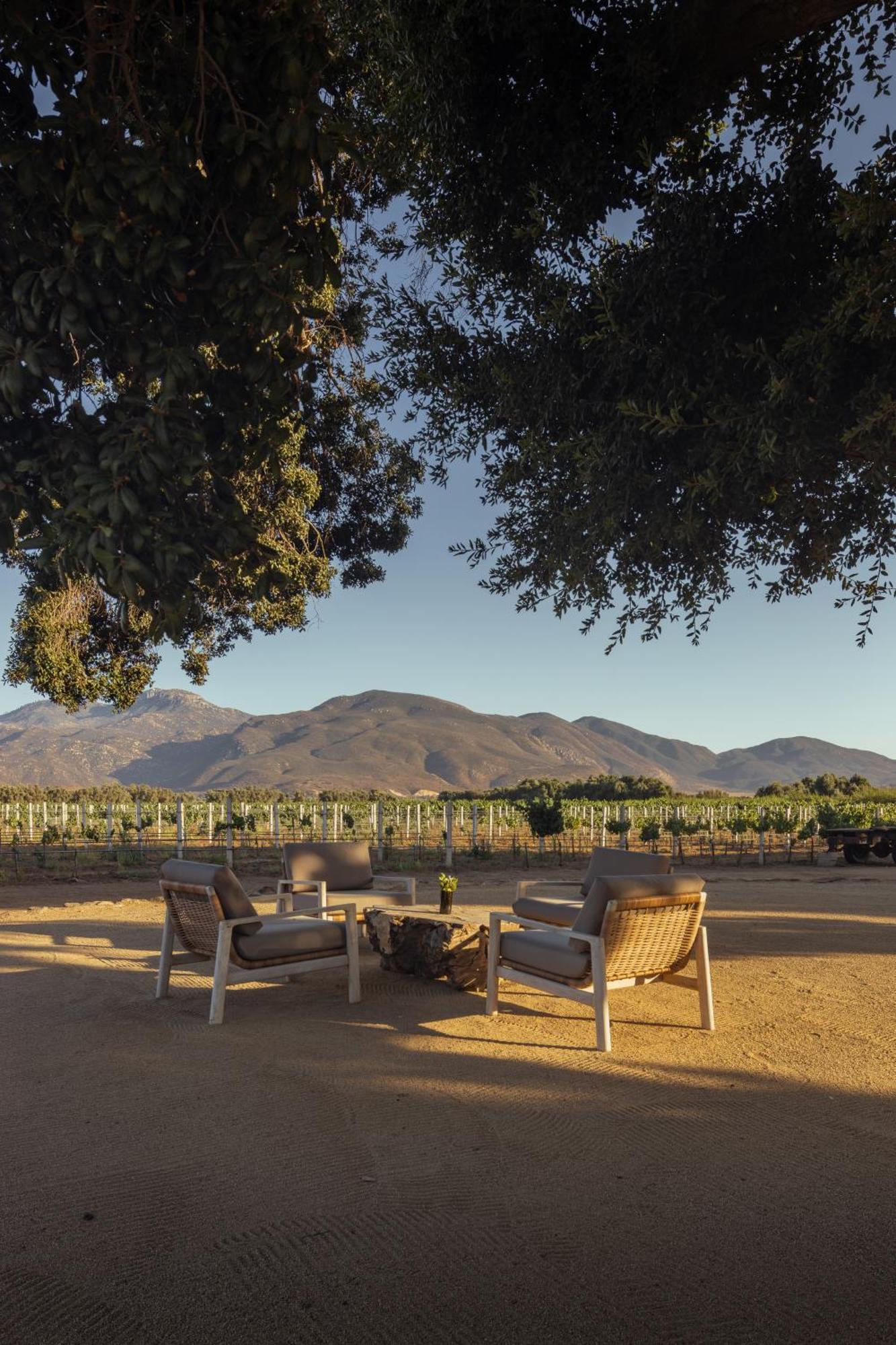 Bruma Wine Resort Valle de Guadalupe Εξωτερικό φωτογραφία